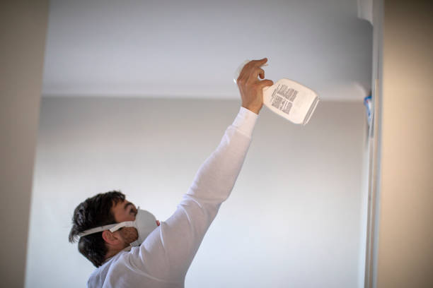 Best Residential Mold Removal  in Westwood, KY