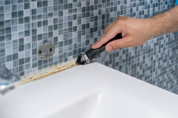 Best Best Mold Removal Companies  in Westwood, KY